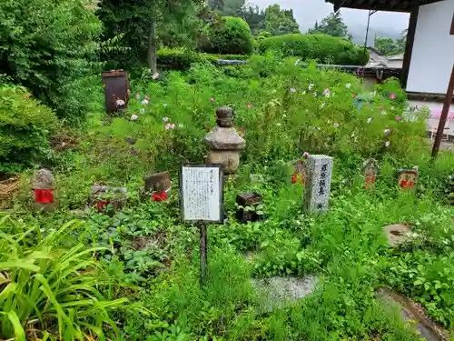 般若寺 ❁﻿コスモス寺❁(奈良県)