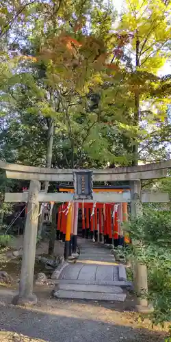 御霊神社（上御霊神社）(京都府)