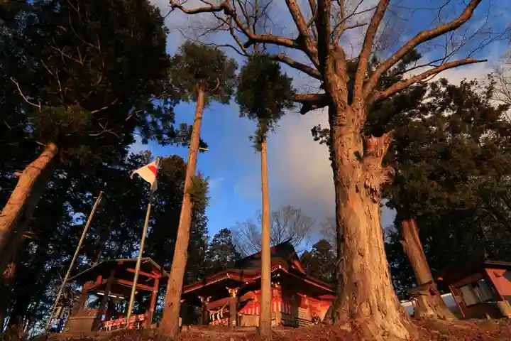 阿久津「田村神社」(郡山市阿久津町)旧社名:伊豆箱根三嶋三社の景色