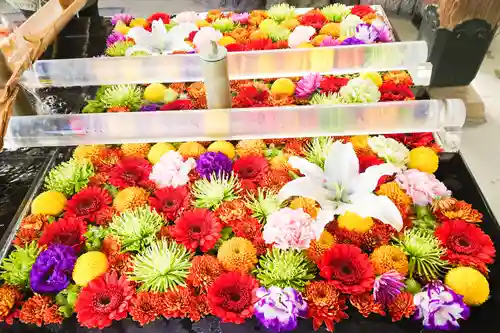 成田山深川不動堂（新勝寺東京別院）の手水舎