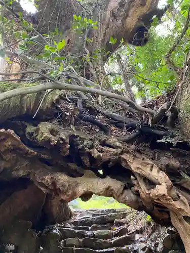 大山祇神社奥の院 生樹の御門(愛媛県)