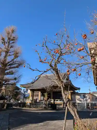 福王山  慈眼寺(東京都)