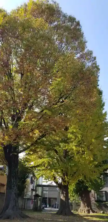 五北天祖神社のその他建物