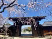 妙覺寺(妙覚寺)の山門・神門