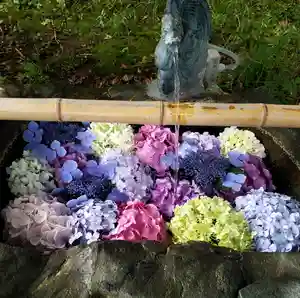 大山祇神社の手水舎(2021年07月16日(金) 23時06分43秒投稿)