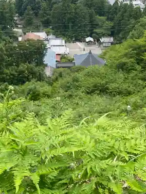 光明寺(静岡県)