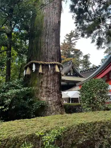 香取神宮(千葉県)