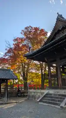 豊国神社(京都府)