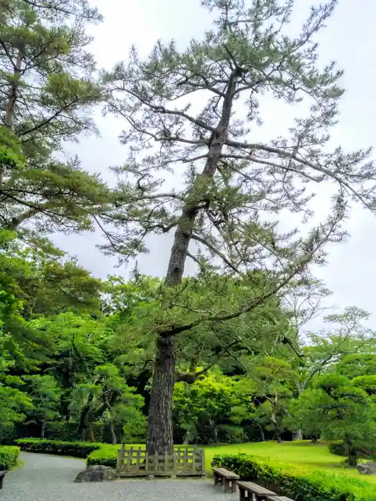 伊勢神宮内宮(皇大神宮)の庭園