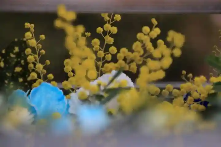 豊景神社の手水舎