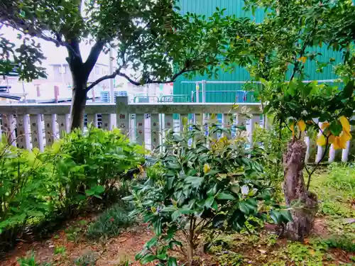 祖母井神社の自然