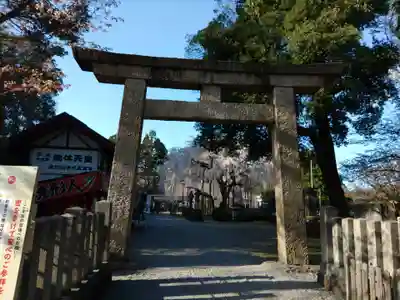 足羽神社の鳥居