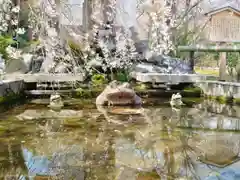 天龍寺の庭園