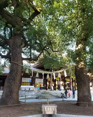 明治神宮の本殿・本堂