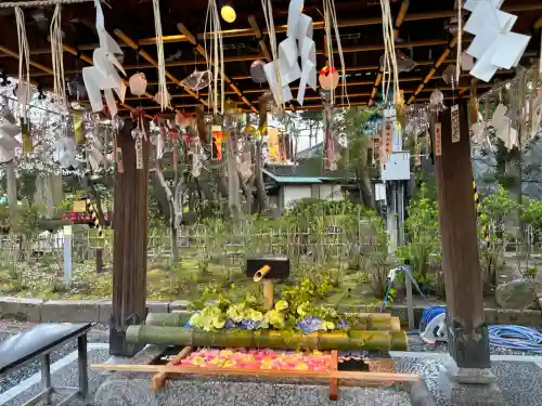 白山神社の{uncategorized: "未分類", other: "その他", undefined: "問題あり", building: "その他建物", grave: "お墓", sacred_gate: "鳥居", guardian: "狛犬", statue: "像", buddha: "仏像", history: "歴史", nature: "自然", garden: "庭園", animal: "動物", pagoda: "塔", temizu: "手水舎", mountain_gate: "山門・神門", sanctuary: "本殿・本堂", subordinate: "末社・摂社", art: "芸術", scenery: "景色", jizo: "地蔵", ema: "絵馬", goshuin: "御朱印", omikuji: "おみくじ", items: "授与品その他", amulet: "お守り", goshuincho: "御朱印帳", eats: "食事", festival: "お祭り", votive_dance: "神楽", shichigosan: "七五三参", wedding: "結婚式", experience: "体験その他", initially: "初詣", around: "周辺", anti_infection: "感染症対策"}