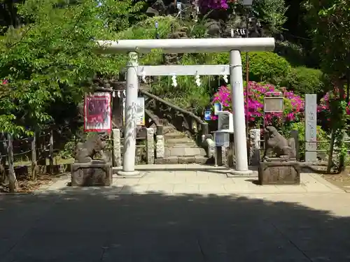 千駄ヶ谷冨士浅間神社の鳥居