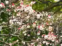 宝戒寺(神奈川県)