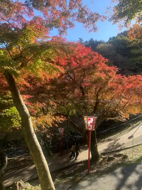 養老神社(岐阜県)