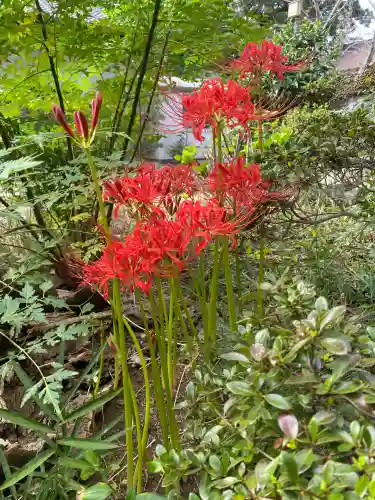 鎌数伊勢大神宮(千葉県)