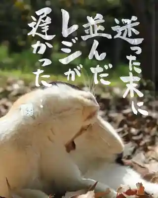 専念寺(大阪府)