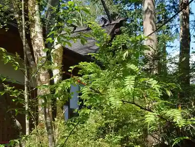胎内神社(静岡県)