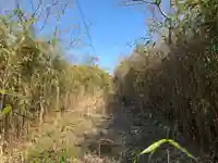 稲荷神社(千葉県)