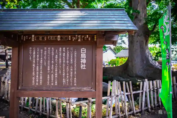 白鳥神社(長野県)