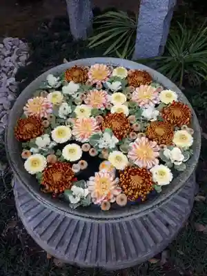 行田八幡神社の手水舎