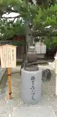 射楯兵主神社の狛犬