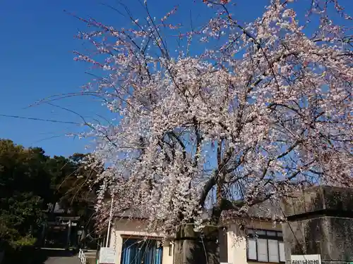 白山神社の自然