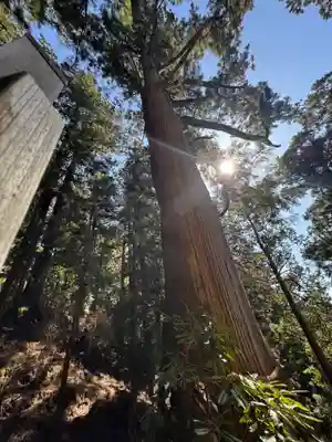 玉置神社の御朱印