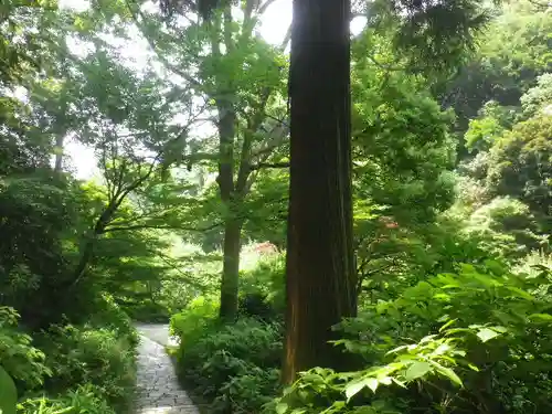 瑞泉寺の庭園