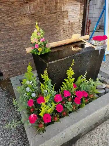 上尾御嶽神社の手水