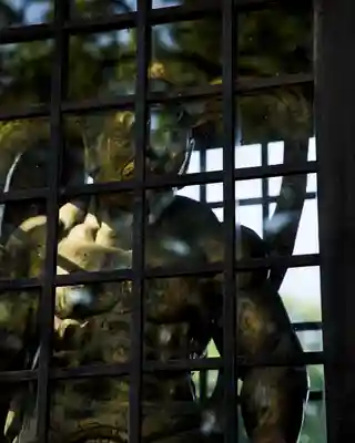 永光寺(牡丹不動尊) (茨城県)