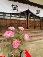 一乗寺の本殿・本堂