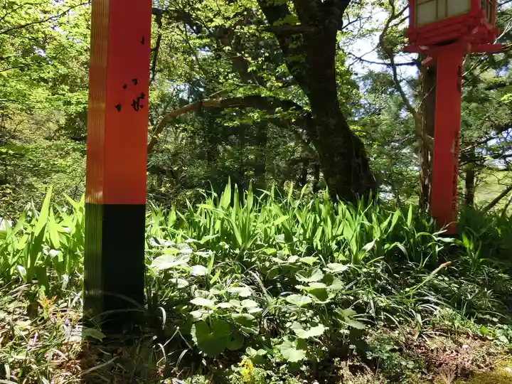大神山神社奥宮の自然