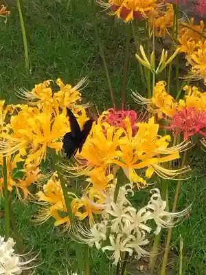 横浜　西方寺(神奈川県)
