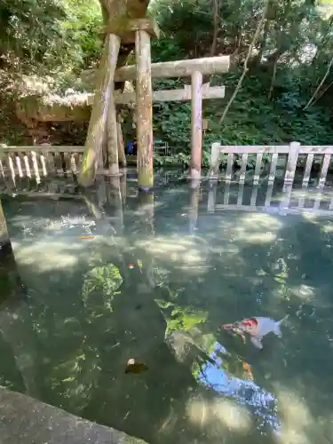 鹿島神宮(茨城県)