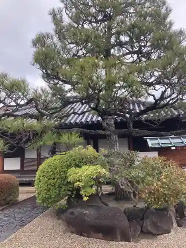 十輪院(奈良県)