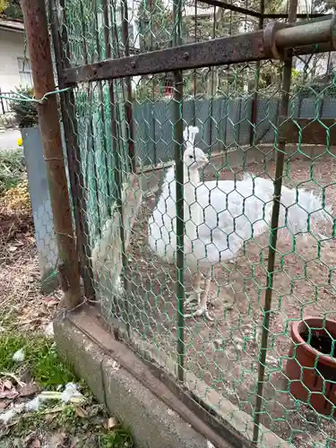 進雄神社(群馬県)