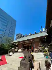 芝大神宮の狛犬