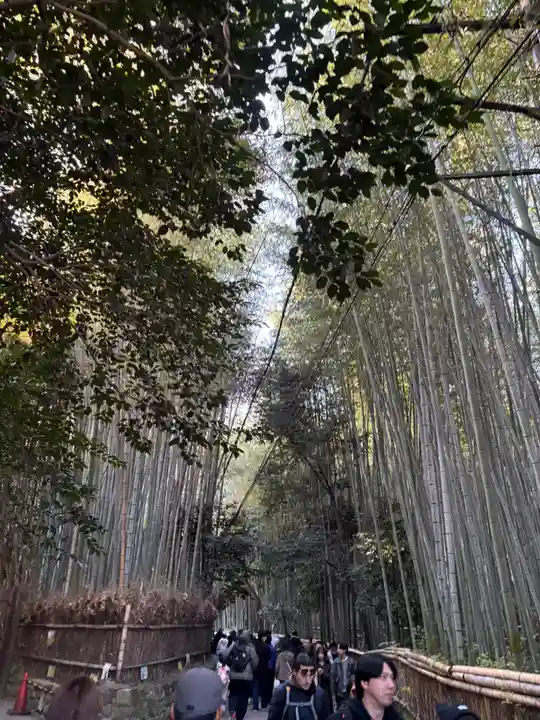 野宮神社(京都府)