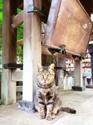 小野照崎神社(東京都)