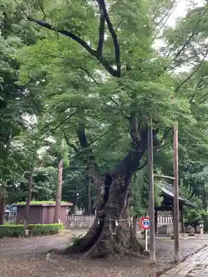 武水別神社(長野県)