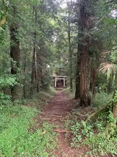 白幡神社の建物その他