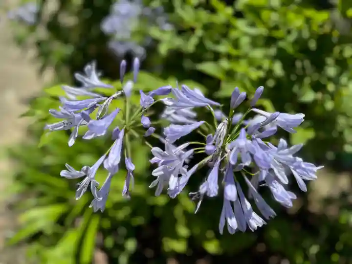 阿邪訶根神社(福島県)