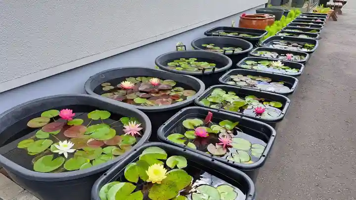 極楽山 浄土寺(北海道)