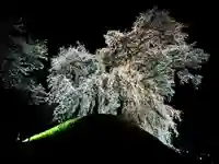 麻績神社(長野県)