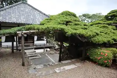 善峯寺(京都府)