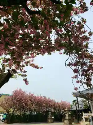 荘厳寺(東京都)